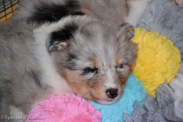 Baby Bloom